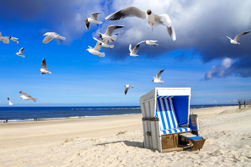 Sylt, Strandkorb Möven, 