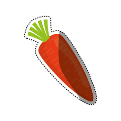 Fresh and healthy vegetable icon vector illustration graphic design