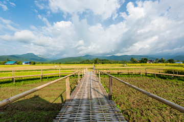 Fototapeta na wymiar Bamboo walkway rice terraces on mountain in Nan Province, northern of Thailand.