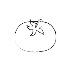 Fresh and healthy vegetable icon vector illustration graphic design