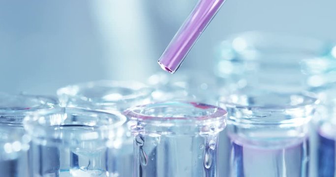 In a laboratory, a scientist with a pipette analyzes a colored liquid to extract the DNA and molecules in the test tubes. Concept: research, biochemistry, nature, pharmaceutical medicine