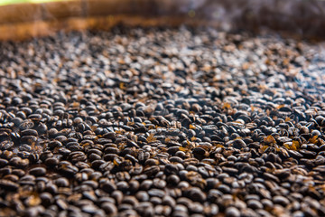 coffee beans fresh roast