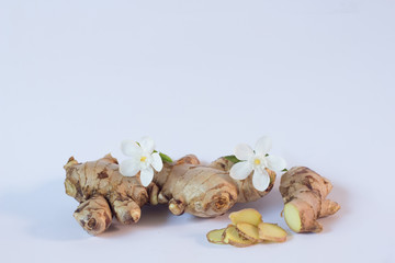 Root ginger on a blue studio background