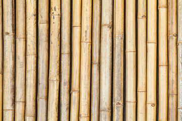 Bamboo wood fence background seamless and texture