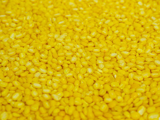 yellow beans on background