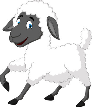 Cute sheep cartoon