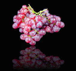 Grapes Red steam isoled white background