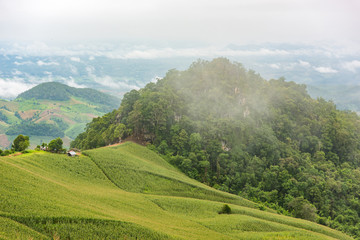Landscape of Misty mountain forest fog at in Nan province, Thailand