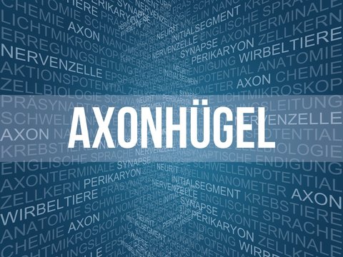 Axonh&uuml;gel