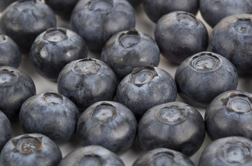 Closeup of  fresh blueberry on the white background