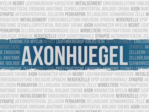 Axonh&uuml;gel