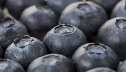 Closeup of  fresh blueberry on the white background