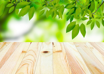 Wooden floor with hedge for background.