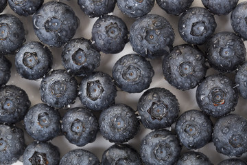 Closeup of  fresh blueberry and waterdrops on the white background