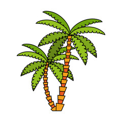palm tree icon image vector illustration design 