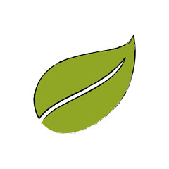 leaf nature ecology icon vector illustration graphic design