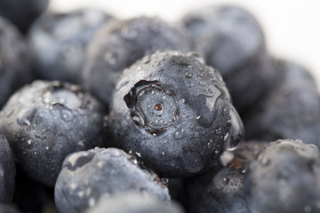 Closeup of  fresh blueberry and waterdrops on the white background