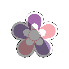Beautiful flower ornament icon vector illustration graphic design
