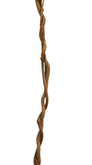Twisted wild liana jungle vine isolated on white background, clipping path included