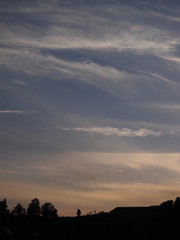 空