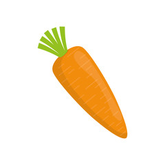 Fresh and healthy vegetable icon vector illustration graphic design