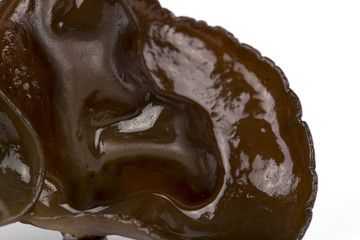 Cooking ingredient black fungus 
on the white background