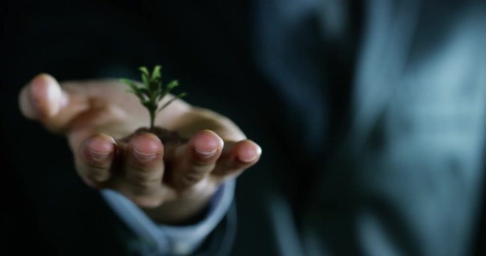young plant growing in the hands of an experienced seller or bank or insurance broker. concept for investment and passive income for retirement and annuities or remote assistance and connections