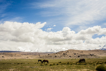 Fototapeta na wymiar View of stunning mountains along the Karakoram Highway in western China and northern Pakistan