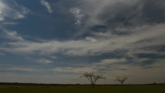 Time lapse view of wispy clouds moving in sky over Ibera Wetlands, Argentina