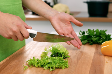 Close up of  woman's hands cooking in the kitchen. Housewife slicing ​​fresh salad. Vegetarian and healthily cooking concept