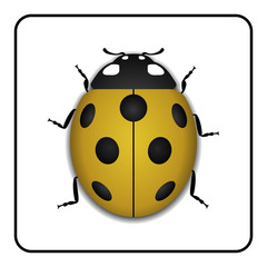 Obraz premium Ladybug small icon. Yellow lady bug sign, isolated on white background. 3d volume design. Cute colorful ladybird. Insect cartoon beetle. Symbol of nature, spring or summer. Vector illustration