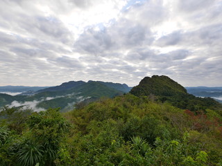 Fototapeta na wymiar Forest tropical foggy mountain hill landscape
