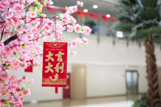 A red blessing card with DAJIDALI hanging in the peach flower tree