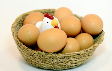 Brown eggs in the basket on white.