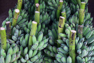 Banana in market