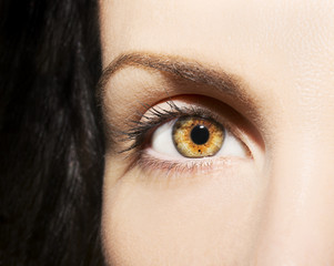   A beautiful insightful look brown woman's eye