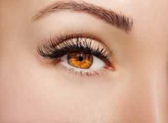 Obraz premium Brown Eye Makeup. Beautiful Eyes Make up detail, perfect beauty eyebrows