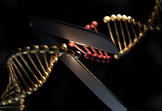 DNA cut the defective gene by a scissor 3d illustration