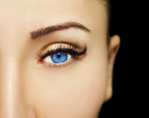 Naklejka premium Beautiful Eyes Make up detail, perfect beauty eyebrows