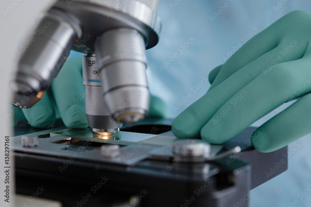 Wall mural close up view of scientist hands with gloves set the sample in the microscope for research