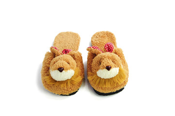 Pair of house shoes on a white background