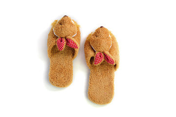 Pair of house shoes on a white background