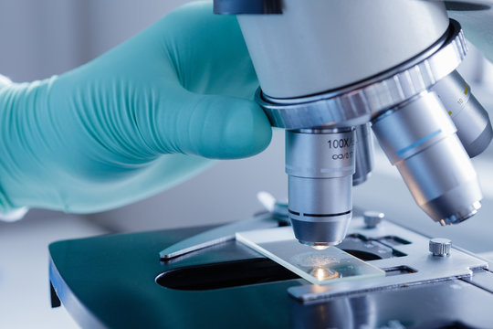 Close up view of scientist hands with gloves set the sample in the microscope for research