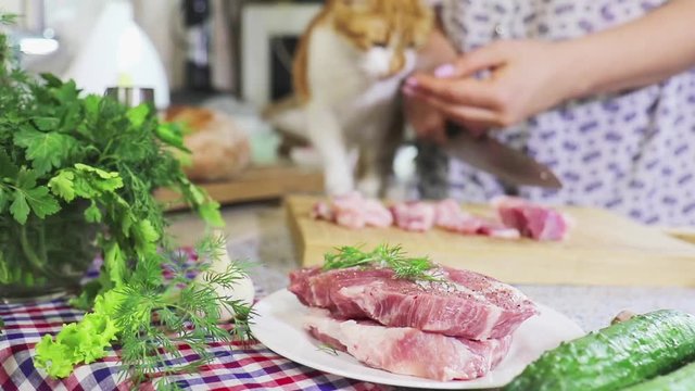 Close-up of women hands  cutting fresh pork on a wooden cutting board and red-white cat feeds in home kitchen. Rack focus.