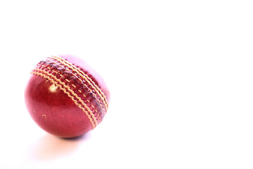 cricket ball on isoolated white