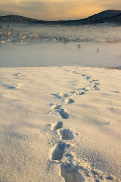 Human Footprints In The Snow