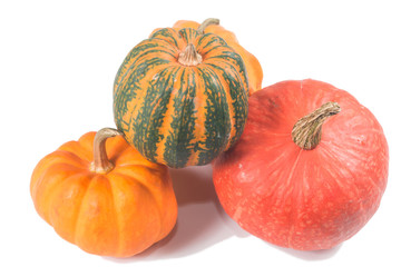 beautiful Fancy pumpkin on a white background
