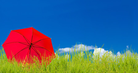 parasol rouge sur fond d'herbe et de ciel bleu