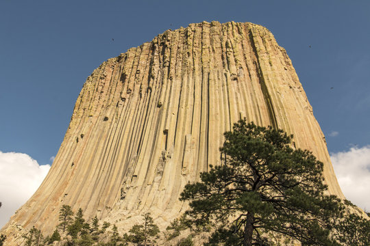 Devils Tower