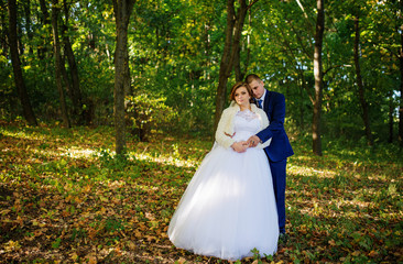 Obraz na płótnie Canvas Loving wedding couple hugging at autumn forest with yellow leaves and sunny day.